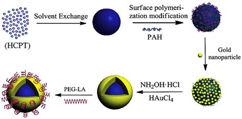 Schematic Diagram Of The Preparation Of Au Nps Loaded With Hcpt Notes