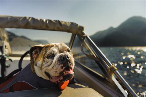 Vous avez décidé de partir en vacances dans une île proche des côtes