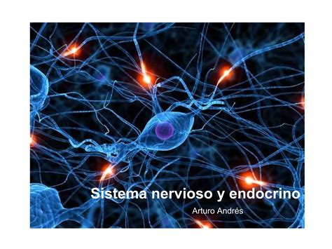 Sistema Nervioso Y Endocrino Ppt