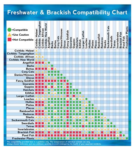 Freshwater & Brackish Fish Compatibility Chart | Chart infographic, Fresh water, Tropical fish