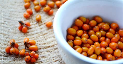 Облепиха: чем полезна? - tochka.net