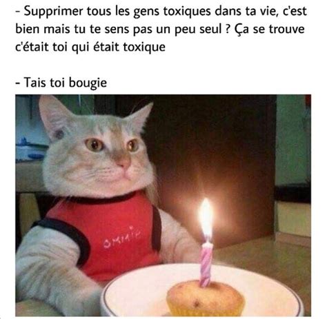 Méchant chat Mème par Deejaybb Memedroid