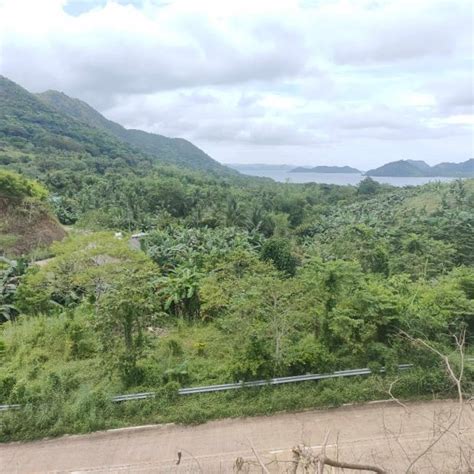 Hectares Land For Sale In Brgy Decabobo Coron Palawan