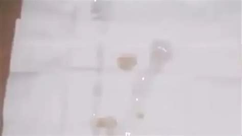 Asertlop Gay Porn Creator Videos Free Amateur Nudes Xhamster