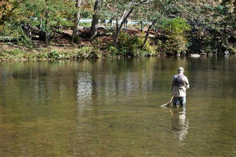 Tennessee Fishing The Complete Guide