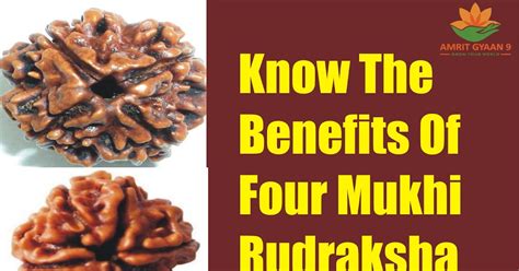 Amrit Gyaan Know The Benefits Of Four Mukhi Rudraksha