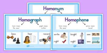 Homograph And Homophone Explanation Display Posters Australia