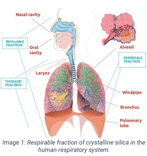 Dry Method To Obtain Coated Crystalline Silica With Reduced Toxicity