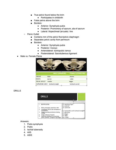 SOLUTION Lower Extremity Anatomy Kinesiology Studypool