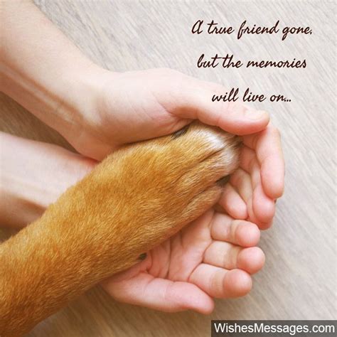 Sympathy Messages for Pets: Condolence Quotes for Dogs, Cats and more – WishesMessages.com