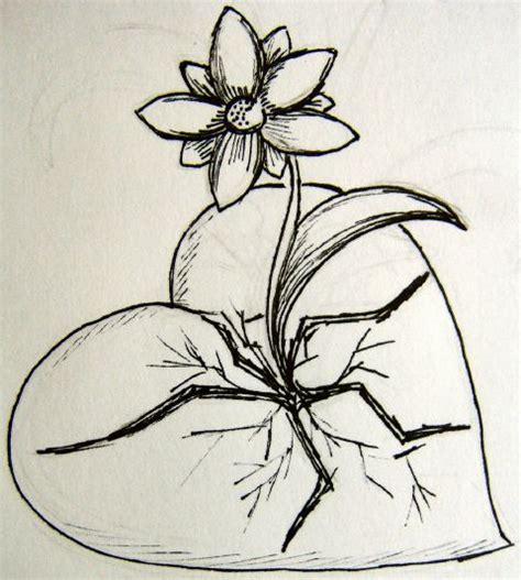 Drawings of Hearts and Flowers | Flower Tattoos|Lotus|Designs|Meaning|Small