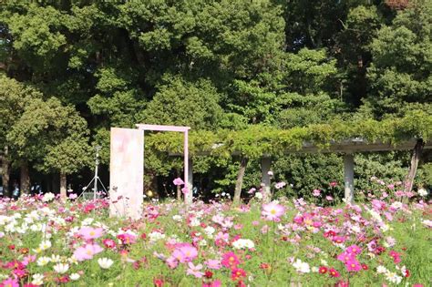 大阪の植物園10選！季節の花を無料で楽しめるおすすめスポットも Prettyonline