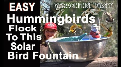 CHEAP-How to Make a $1 EASY SIMPLE Hummingbird Bird Bath Solar Water DIY... | Hummingbird bird ...