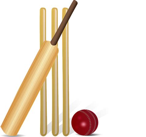 Cricket Png