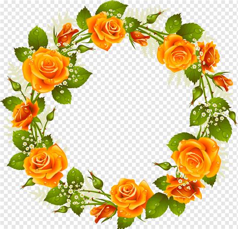 Rose Frames Flower Flower Wreath Flower Arranging Decor Orange Png