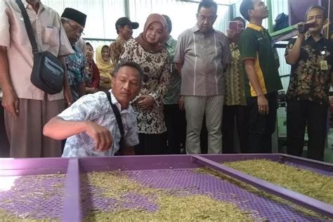 Kementan Bantu Pabrik Pengering Padi Untuk Petani Cilacap Krjogja