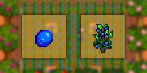 The Best Crops To Grow In Your Greenhouse In Stardew Valley