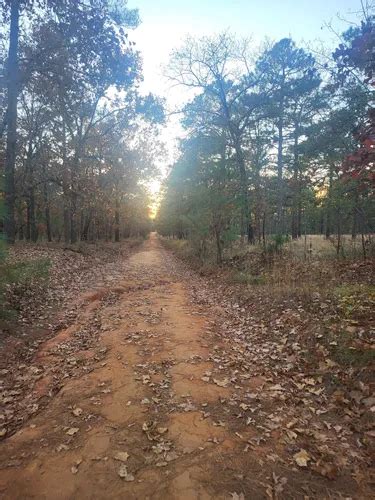 Best Forest Trails in Fort Bragg | AllTrails