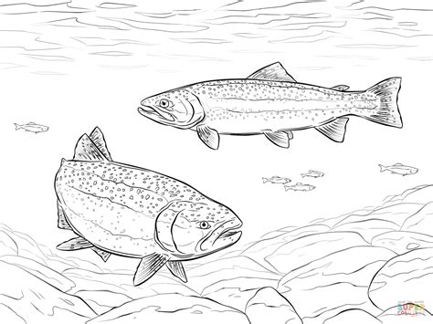 Rainbow Trouts Coloring Page Free Printable Coloring Pages