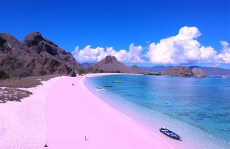 Destinasi Liburan Labuan Bajo Jangan Lupa Ke Pink Beach