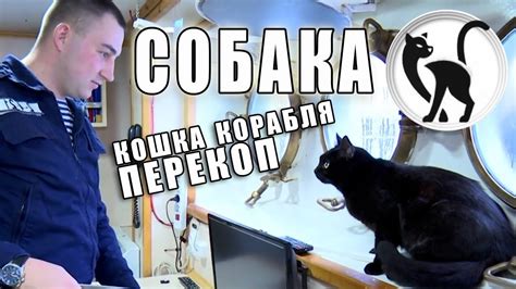 Собака - кот, талисман корабля "Перекоп" - YouTube