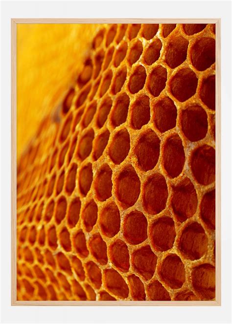 Buy Honey Poster here - BGASTORE.UK