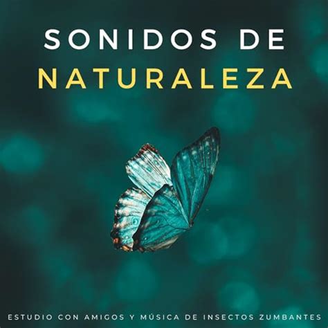 Play Sonidos De Naturaleza Estudio Con Amigos Y M Sica De Insectos