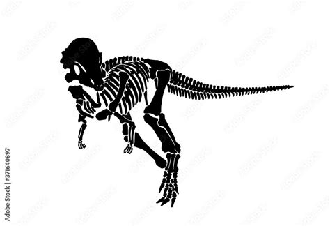 Vector silhouette of tyrannosaurus skeleton isolated on white ...