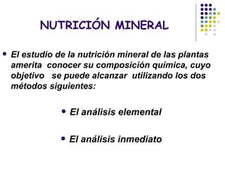 Nutricion Vegetal PPT