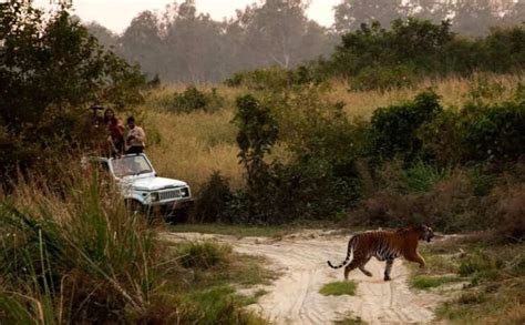 Popular Wildlife Sanctuaries and National Parks of Chhattisgarh