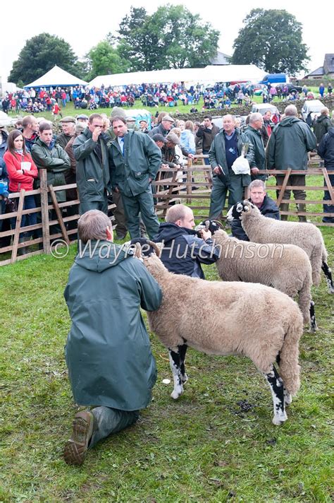 Hutchinson Photography Images Of Agriculture And Rural Life Farmers