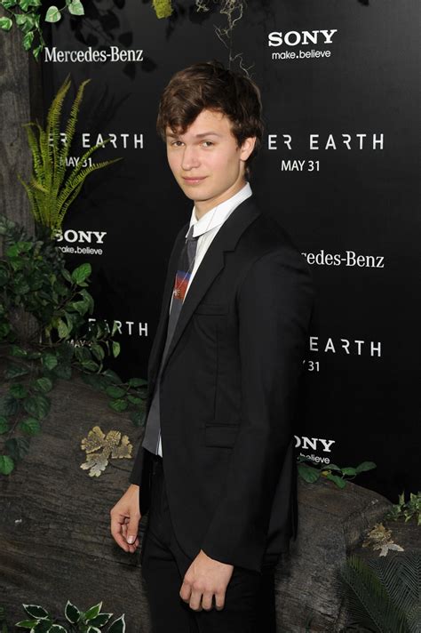 Ansel Elgort from Divergent | Ansel elgort, Photo l, Actors & actresses