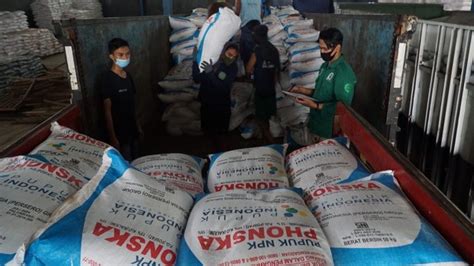 Stok Pupuk Subsidi Masih Ada Ton Cukup Penuhi Kebutuhan Petani