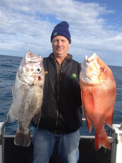 Kalbarri Deep Sea Fishing Charter Reefwalker Ocean Discovery Kalbarri