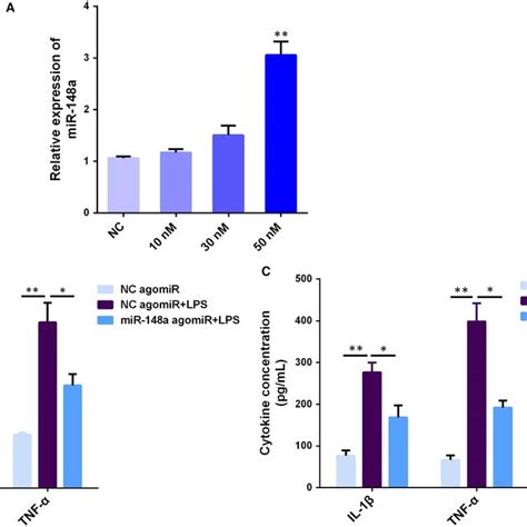 Mir A Decreases Lpsinduced Proinflammatory Cytokines Production