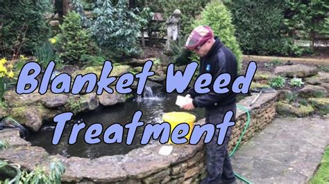 How To Get Rid Of Blanket Weed In A Pond How To Apply Multi Clear Youtube