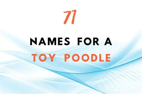 71 Adorable Names For A Toy Poodle - Fearless Names