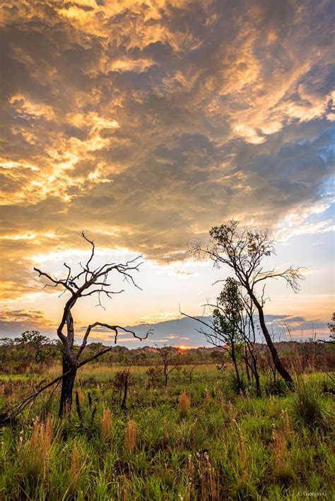 Sunset Falling Over Jalapao National Park in Brazil Stock Image - Image ...