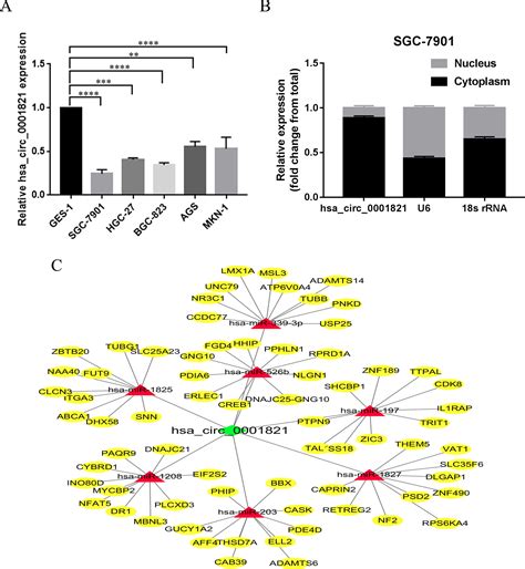 Frontiers Identification Of Hsa Circ As A Novel Diagnostic