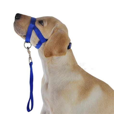 dog head harness stops pulling