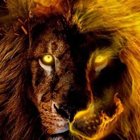 Blue Extasy Blowjob Blowjob Porn By Xczech XHamster