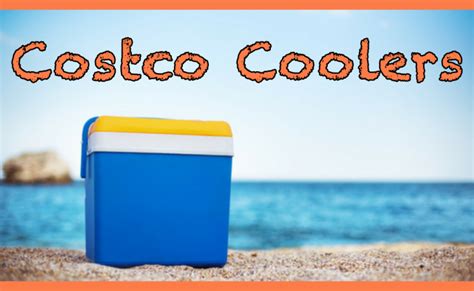 Costco Coolers Review: See The 5 Best! [2021]