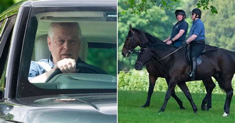 Pensive Prince Andrew Spotted Riding Horse After King Vows Royals Will