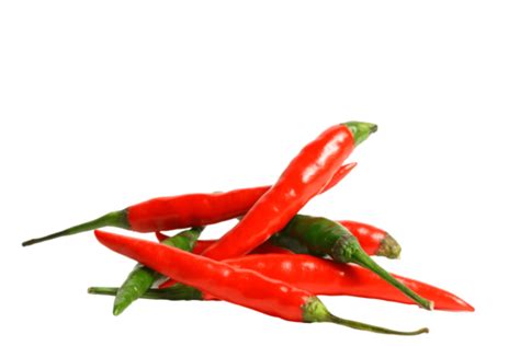 Red Hot Chili Pepper Fiery Close Up Cooking Isolated Png Transparent Image And Clipart For