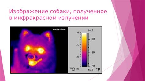 Презентация к уроку "Инфракрасное и ултрафиолетовое излучение