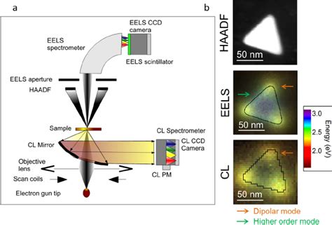 Scanning Vs Transmission Electron Microscope