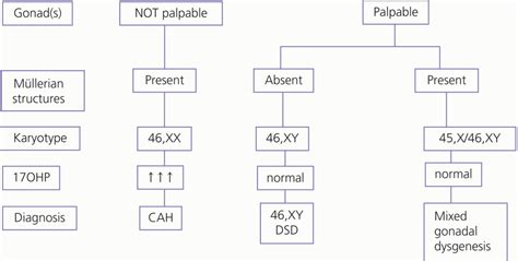 Differences In Sex Development And Common Genital Anomalies Oncohema Key