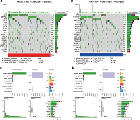 Frontiers Construction And Validation Of A Ferroptosis Related LncRNA