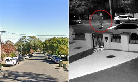 Sydney Detectives Hunt Nude Nightwalker After He Broke Into Ritzy Willoughby Home And Woke Owner