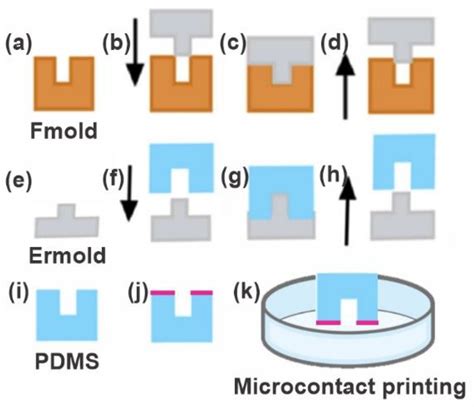 Biomimetics Free Full Text Simple Microcontact Printing Technique